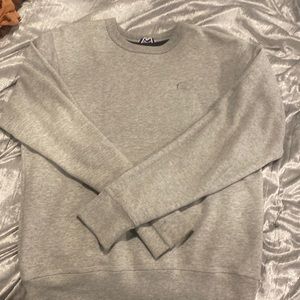 grey champion sweatshirt